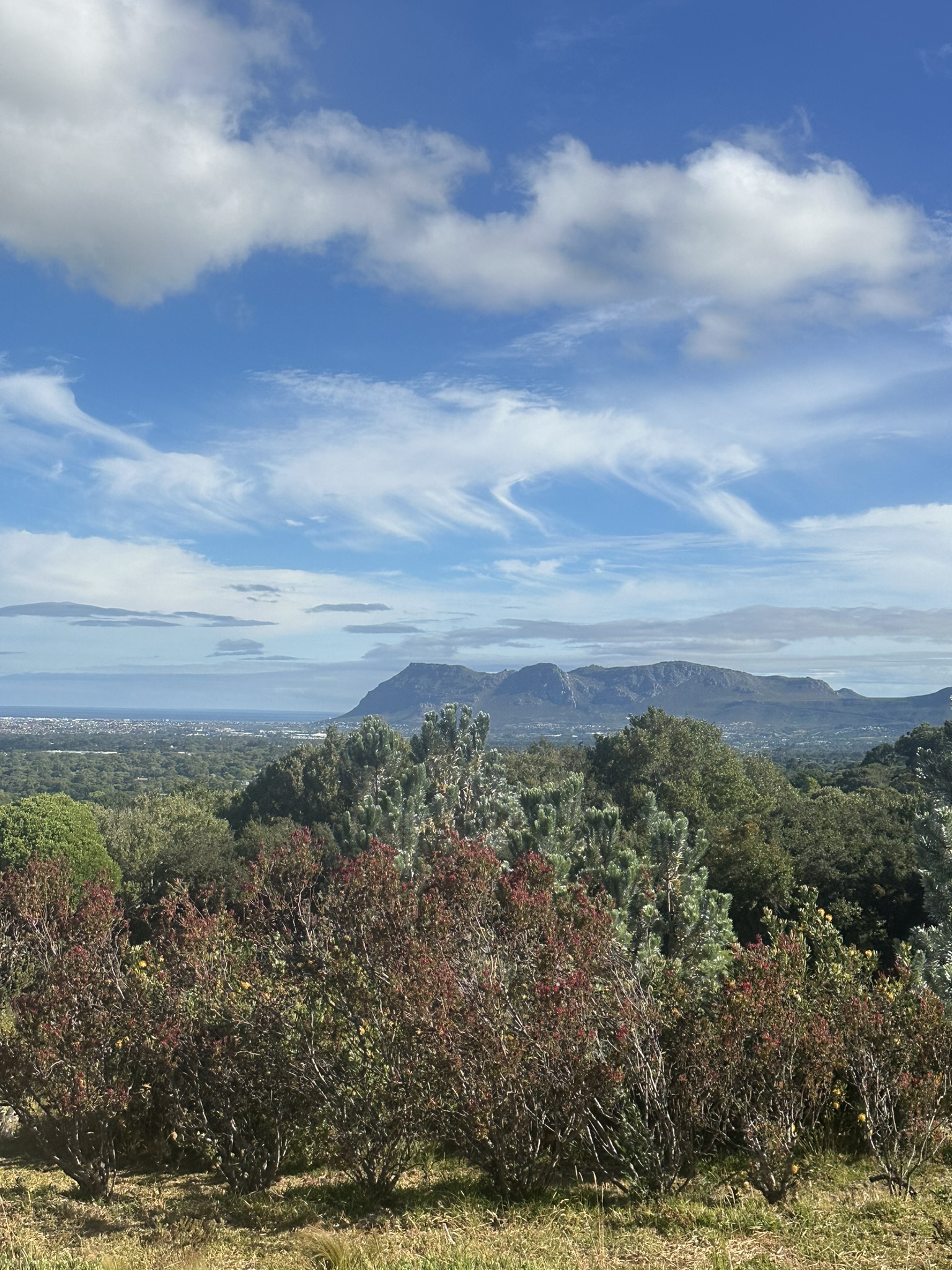 South Africa - Image 592